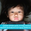 Бодлого боловсруулагчдад зориулсан удирдамж